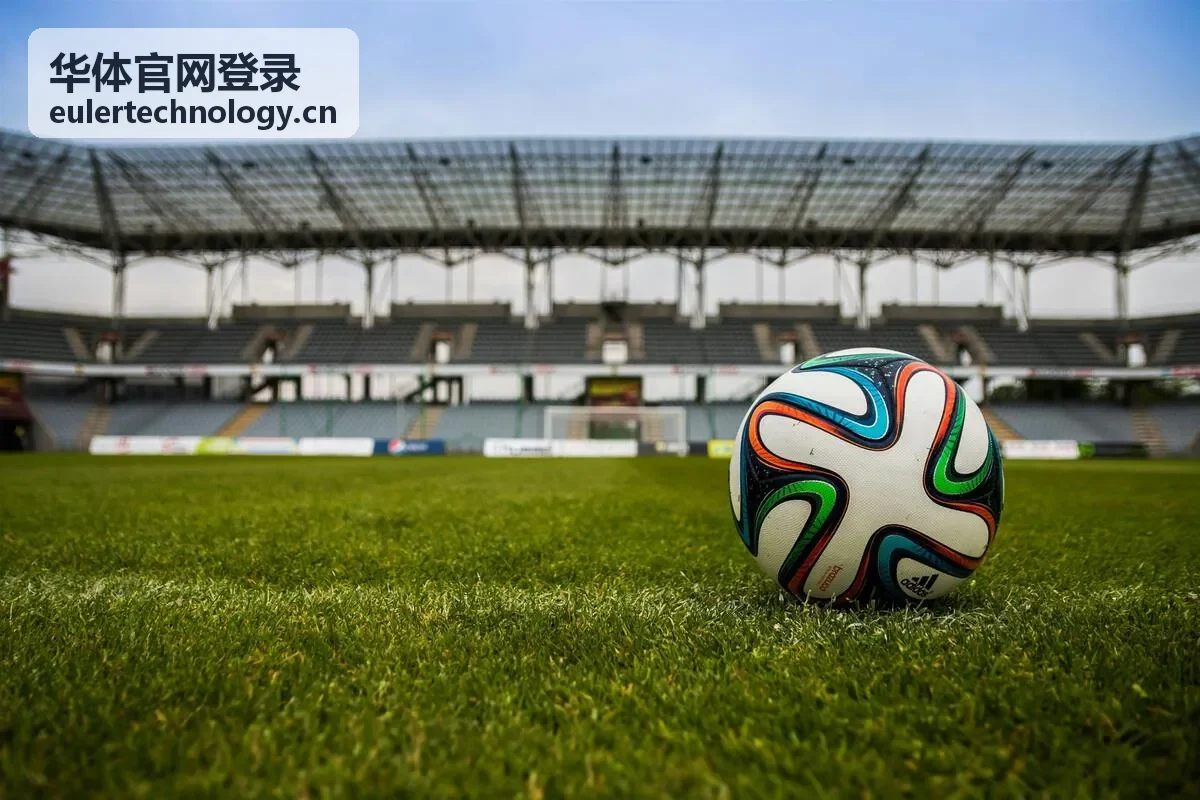 华体官网登录账号登录记录与设备信息查看界面
